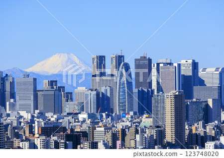 A collaboration between Mt. Fuji and the cityscape of Tokyo (Shinjuku) 123748020
