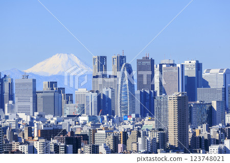 A collaboration between Mt. Fuji and the cityscape of Tokyo (Shinjuku) 123748021