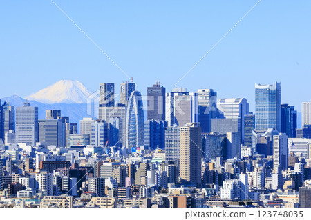 A collaboration between Mt. Fuji and the cityscape of Tokyo (Shinjuku) 123748035