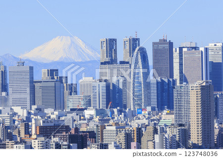 A collaboration between Mt. Fuji and the cityscape of Tokyo (Shinjuku) 123748036
