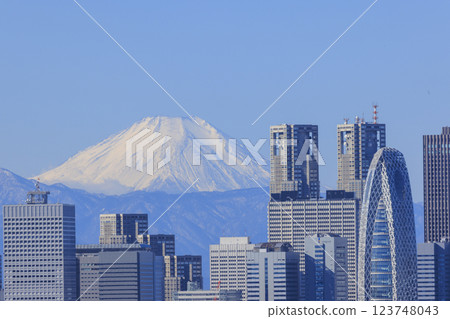 A collaboration between Mt. Fuji and the cityscape of Tokyo (Shinjuku) 123748043