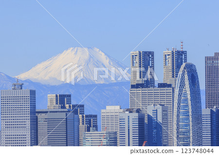 A collaboration between Mt. Fuji and the cityscape of Tokyo (Shinjuku) 123748044