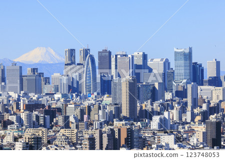 A collaboration between Mt. Fuji and the cityscape of Tokyo (Shinjuku) 123748053