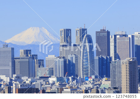 A collaboration between Mt. Fuji and the cityscape of Tokyo (Shinjuku) 123748055