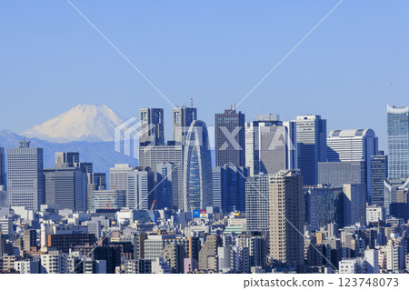 A collaboration between Mt. Fuji and the cityscape of Tokyo (Shinjuku) A collaboration between Mt. Fuji and the cityscape of Tokyo (Shinjuku) 123748073