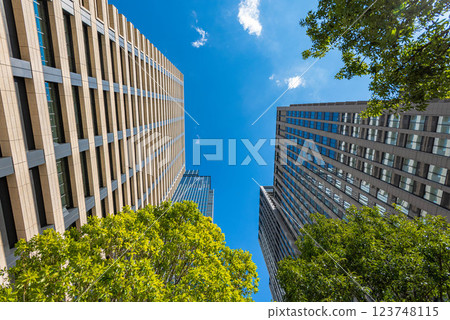 辦公區摩天大樓和街道樹木的城市景觀 123748115