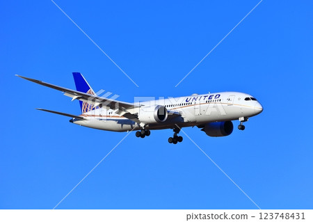 【千葉縣】一架噴射機（聯合航空波音787）降落成田機場 123748431