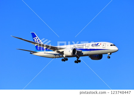 [千葉縣] 噴射機（全日空波音787）降落在成田機場 123748447