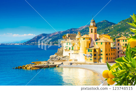 Scenic Mediterranean riviera coast. Panoramic view of Camogli town in Liguria, Italy 123748515