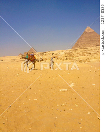 Pyramids and camels 123748526