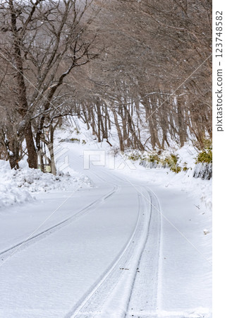 雪花飄落,積雪覆蓋的道路 雪花飄落,積雪覆蓋的道路 123748582
