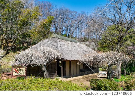 Machida City, Tokyo Yakushiike Park, Plum Garden, Former Nagai Family Residence, Tokyo-designated Place of Scenic Beauty 123748606