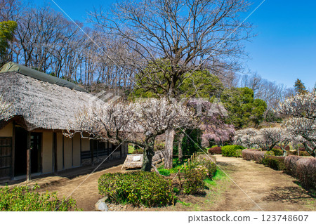 Machida City, Tokyo Yakushiike Park, Plum Garden, Former Nagai Family Residence, Tokyo-designated Place of Scenic Beauty 123748607