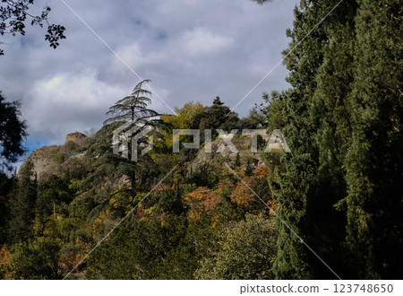 A Stunning Mountain Landscape That Is Completely Surrounded by Lush, Vibrant Greenery 123748650