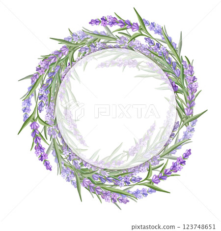 Lavender frame. Delicate floral bouquet. Spring summer banner template. Lavender frame. Delicate floral bouquet. Spring summer banner template. 123748651
