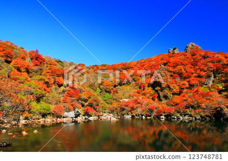 大野山禦池之秋（竹田市九重町九重山） 123748781
