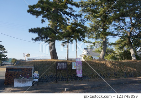 相良城二之丸地區的松樹 123748859