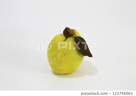帶葉子的木瓜，白色背景下拍攝 123748863
