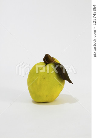 Quince with leaves, photographed against a white background Quince with leaves, photographed against a white background 123748864