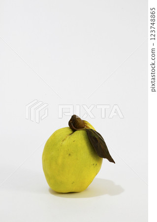 Quince with leaves, photographed against a white background Quince with leaves, photographed against a white background 123748865