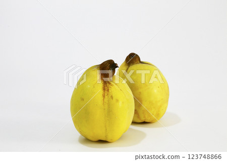 Karin fruit photographed against a white background 123748866