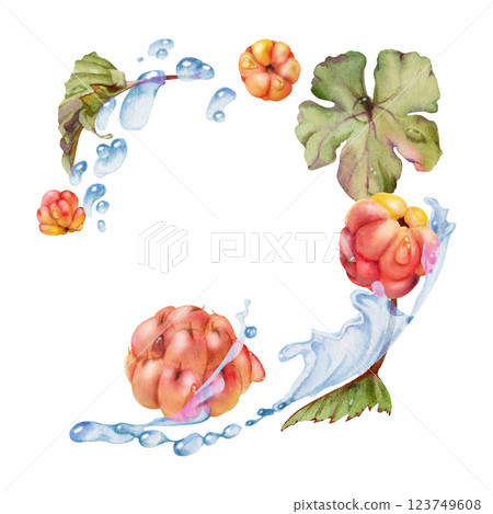 Cloudberry raspberry flying in water splash wave, green leaves and drops, hand drawn in watercolor, ripe summer forest berry. Isolated illustration, for restaurant, cafe menu, wedding, farmers market Cloudberry raspberry flying in water splash wave, green leaves and drops, hand drawn in watercolor, ripe summer forest berry. Isolated illustration, for restaurant, cafe menu, wedding, farmers market 123749608