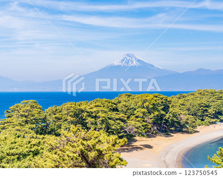 [Shizuoka Prefecture] Mount Fuji over Cape Mihama in Nishiizu Toda 123750545