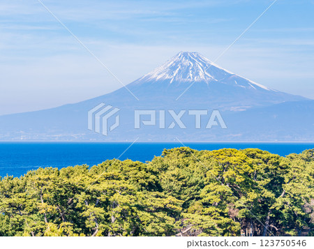 [Shizuoka Prefecture] Mount Fuji over Cape Mihama in Nishiizu Toda 123750546