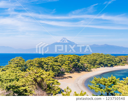 [靜岡縣] 西伊豆戶田的美濱岬上的富士山 123750548