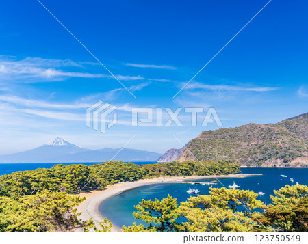 [Shizuoka Prefecture] Mount Fuji over Cape Mihama in Nishiizu Toda 123750549