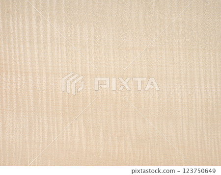 European maple Frise veneer wood texture surface in close up view European maple Frise veneer wood texture surface in close up view 123750649