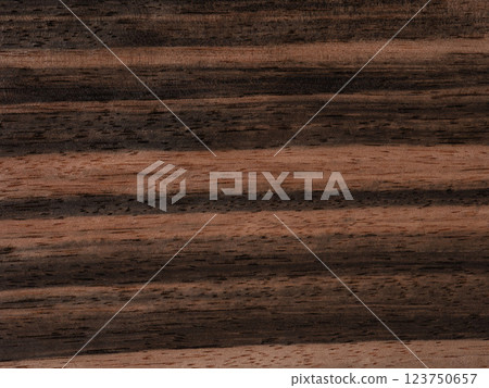 Malabar ebony wooden surface texture in close up Malabar ebony wooden surface texture in close up 123750657