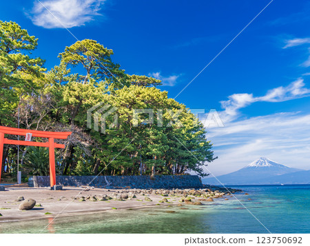 [Shizuoka Prefecture] Torii gate of Moroguchi Shrine and Mt. Fuji in Nishiizu Toda 123750692