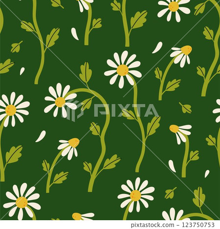 Simple seamless pattern with daisies on a dark green background. Vector graphics. Simple seamless pattern with daisies on a dark green background. Vector graphics. 123750753