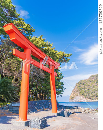 [Shizuoka Prefecture] Torii gate of Moroguchi Shrine and Mt. Fuji in Nishiizu Toda 123750799