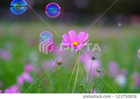 飄在宇宙領域的沙邦球 123750838