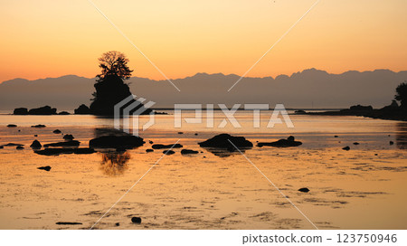 Ameya海岸的黎明 Ameya海岸的黎明 123750946