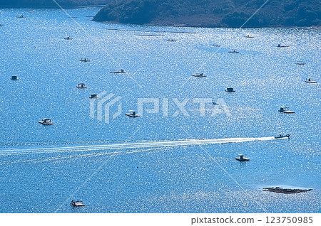 從鳴門天際線俯瞰鳴門海峽 從鳴門天際線俯瞰鳴門海峽 123750985