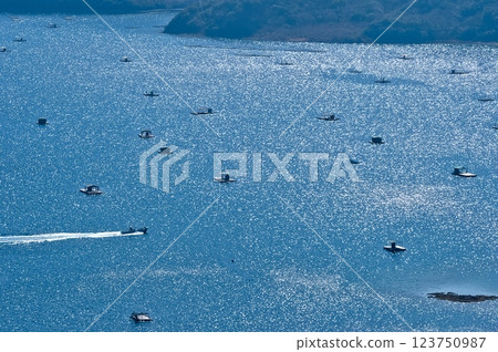 從鳴門天際線俯瞰鳴門海峽 123750987