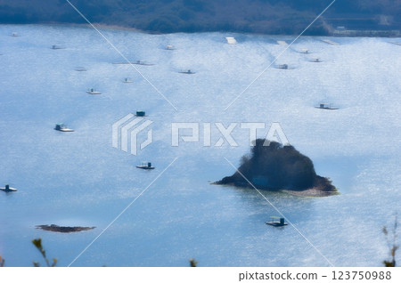 View of the Naruto Strait from the Naruto Skyline 123750988