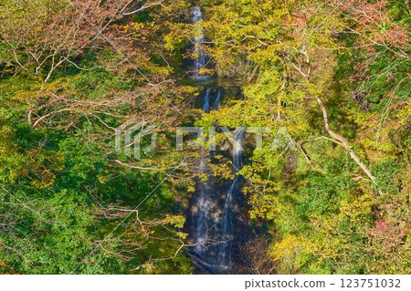 秋天，從神奈川縣山北市丹澤湖西北岸的瀧壺橋上觀賞瀧壺澤瀑布 123751032