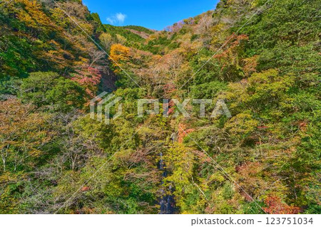秋季,從神奈川縣山北市丹澤湖西北岸的瀧壺橋上欣賞紅葉瀧壺澤瀑布 秋季,從神奈川縣山北市丹澤湖西北岸的瀧壺橋上欣賞紅葉瀧壺澤瀑布 123751034