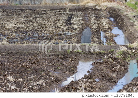 稻田造土 123751045