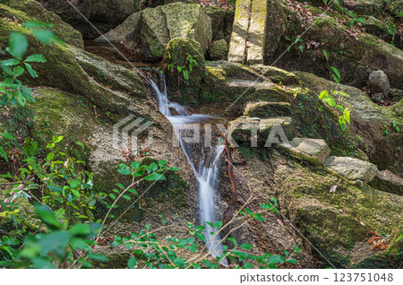 交野的名勝：大阪府交野市石寺川月之綿瀑布 123751048