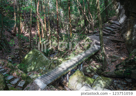 Katano's famous spot: Tsuki no Wataki Falls, Shakuji River, Katano City, Osaka Prefecture 123751059