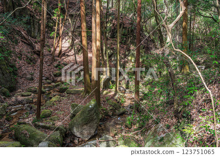 交野的名勝：大阪府交野市石寺川石寺綠影 123751065