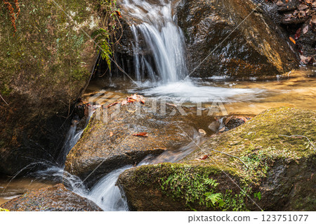 交野八景：大阪府交野市石寺川石寺綠影 123751077