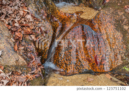 從岩石表面流下的水 123751102