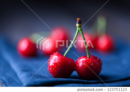 Close-up of ripe fresh red cherries with water drops on blue napkin 123751123