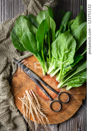 Cutting roots from fresh green spinach leaves on wooden cutting board Cutting roots from fresh green spinach leaves on wooden cutting board 123751132